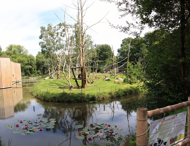 [2] pano, 100CANON, 7 images, IMG_2797 - IMG_2803 - 3316x2563 - SCUL-Smartblend.jpg - Ile des entelle de l'inde